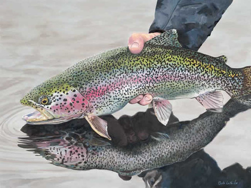 Catch & Release Artwork 240-68a-3 Micro Fiber Cleaning Cloth