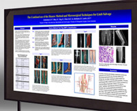 44"x88" Semigloss Poster