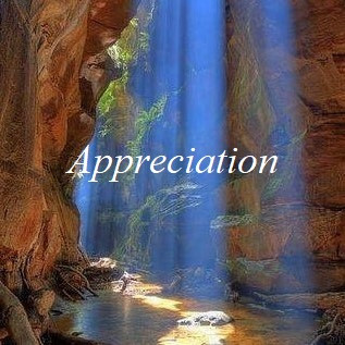 Appreciation album cover