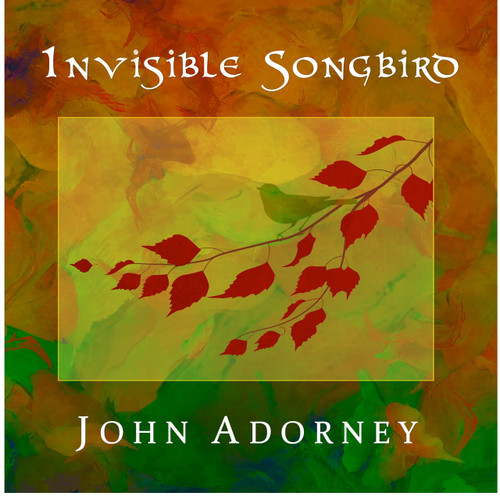 Invisible Songbird album cover