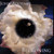 Beckoning CD - John Adorney - FREE SHIPPING