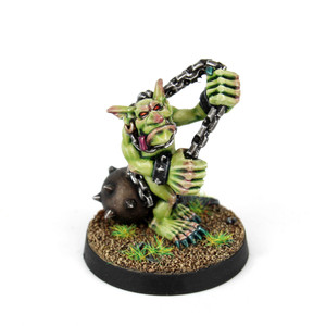 Fanatic Special Player