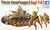 German Panzerkampfwagen II (1/35) - 35009 German Panzerkampfwagen II (1/35) - 35009