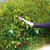 Realistic Wild Flowers Kit – 4mm Static Grass & Miniature Dried Flowers for Model Railways, Dioramas & Scenic Layouts Realistic Wild Flowers Kit – 4mm Static Grass & Miniature Dried Flowers for Model Railways, Dioramas & Scenic Layouts