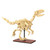 Cada Dinosaur Fossils: Velociraptor - 256 pcs C59014W