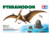 Tamiya Pteranodon 1/35 Item No. 60204