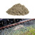 Lineside Ash 180ml Tub | WSBM-012