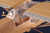 80184 Hobbyboss 1:35 Fiesleler Fi-156U Storch