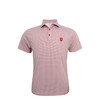 Indiana Hoosiers Particolored Gingham Polo - Crimson