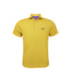 HL2079-GOLD-GREY-PURPLE