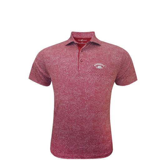 Arkansas Razorbacks Vintage 1947 White Cheerdrop Polo