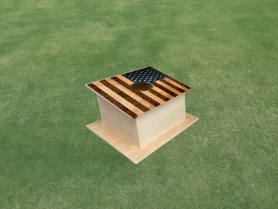 American Flag Wood Look Cornhole Pro Air Mail Box American Flag Wood Look Cornhole Pro Air Mail Box