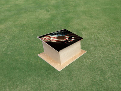 American Flag Skull Cornhole Pro Air Mail Box American Flag Skull Cornhole Pro Air Mail Box