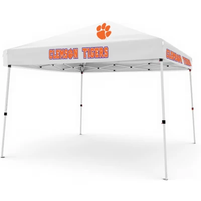 10 x 10 Pop up Canopy