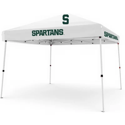 10 x 10 Pop up Canopy