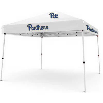 10 x 10 Pop up Canopy