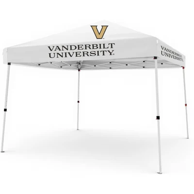 10 x 10 Pop up Canopy