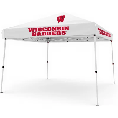 10 x 10 Pop up Canopy