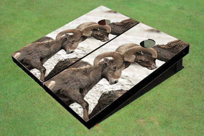 Big Horn Custom Cornhole Board Big Horn Custom Cornhole Board