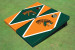 Florida Agricultural & Mechanical University Alternating Diamond Cornhole Boards