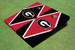 University Of Georgia "G" Alternating Diamond Cornhole Boards