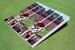 University Of Georgia "Hairy Dawg" Stadium Long Strip Themed Cornhole Boards