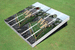 Wake Forest University Stadium Long Strip Themed Cornhole Boards