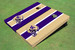 University Of Washington Helmet Alternating Long Stripe Cornhole Boards