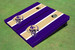 University Of Washington Helmet Gold and Purple Matching Long Stripe Cornhole Boards