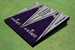 Kansas State University Wildcats Word Mark Purple and White Matching Wood Look Triangle Cornhole Boards