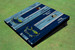 Tampa Bay Rays Alternating Wood Look Long Stripe Custom Cornhole Boards