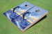 Custom Guy Harvey OMATS Cornhole Boards Custom Guy Harvey OMATS Cornhole Boards