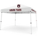 10 x 10 Pop up Canopy