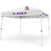 10 x 10 Pop up Canopy
