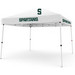 10 x 10 Pop up Canopy