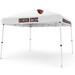 10 x 10 Pop up Canopy