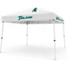 10 x 10 Pop up Canopy