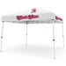 10 x 10 Pop up Canopy