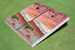 Desert Canyon Custom Cornhole Board