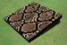 Rattle Snake Skin Custom Cornhole Board