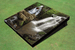 Water Fall Custom Cornhole Board