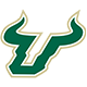 University of South Florida