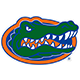 University Of Florida