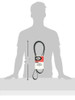 Gates K081035HD FleetRunner??½ - Micro-V??½ Belts
