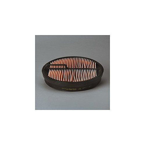 Donaldson P54-7520 AIR SFTY PC