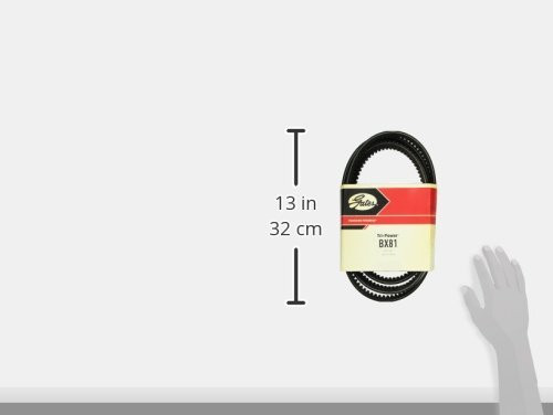 Gates BX81 Tri-Power® Belts (Molded Notch)
