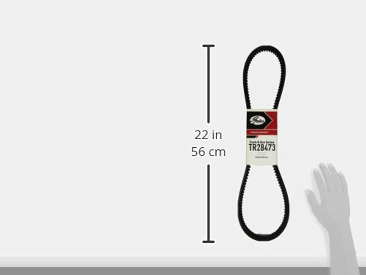 Gates TR28473 Truck Belts