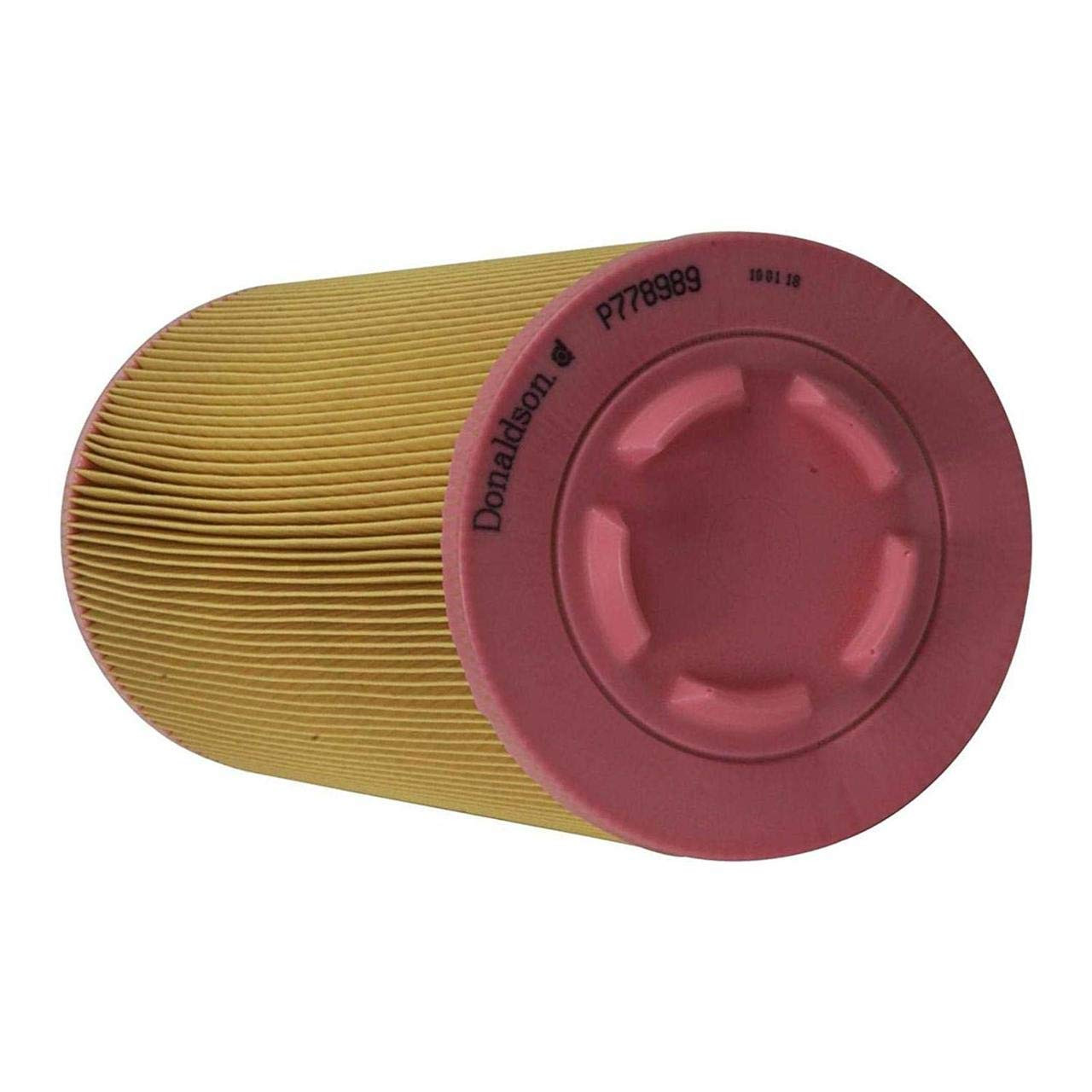 Donaldson P77-8989 AIR PRMYRS