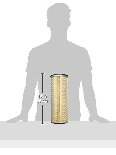 Baldwin PA2587 Outer Air Element