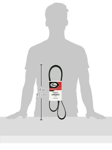 Gates K080680HD FleetRunner® - Micro-V® Belts